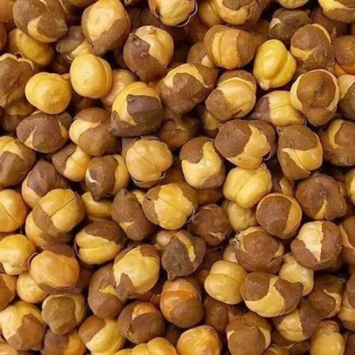 Testobite Yellow Chana 200g 2 chana